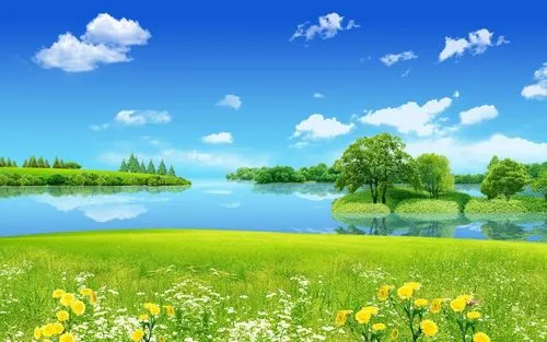 创意独特高质量